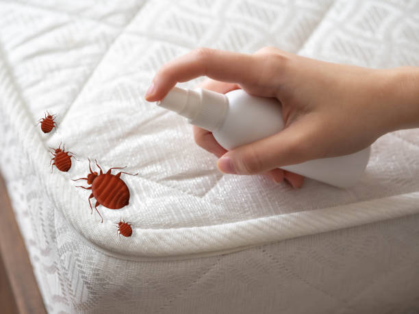 Best Residential Pest Control  in Easton, CA